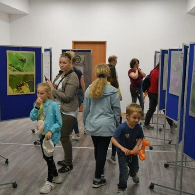 27 maja 2022 r., Dni Owada cz. 2.