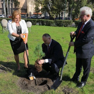 6 października 2020 r., Sadzenie limby pod Budynkiem Jubileuszowym