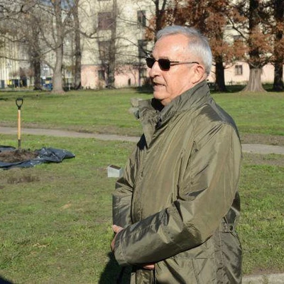 Dąb Na Stulecie Niepodległości