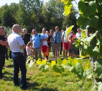 11. września 2021 r., Święto Winobrania