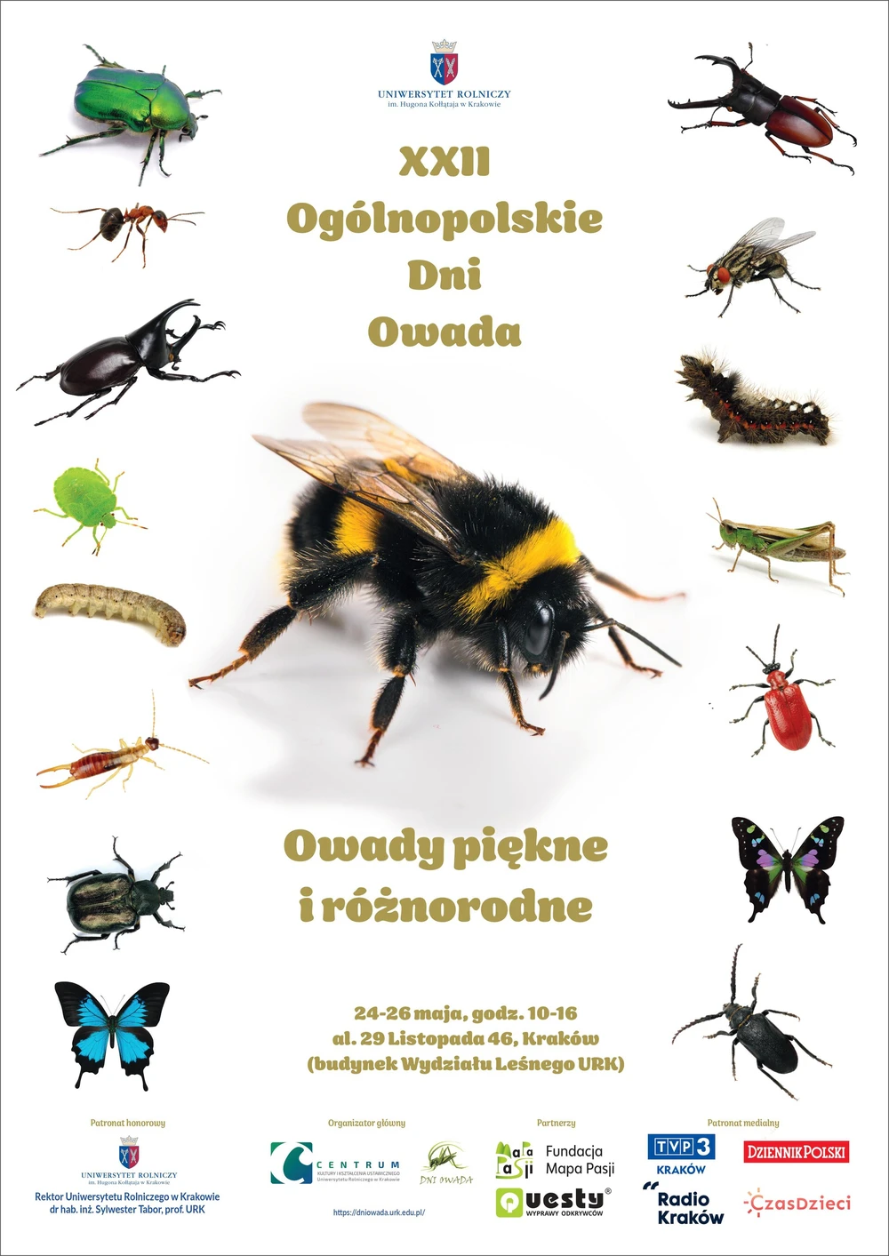 Plakat Ogólnopolskich Dni Owada