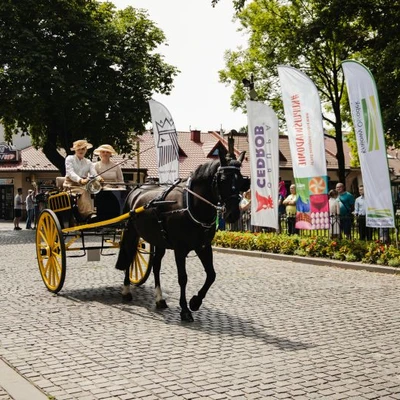 6-8 czerwca 2025 r. IV Międzynarodowy Konkurs Tradycyjnego Powożenia w Niepołomicach