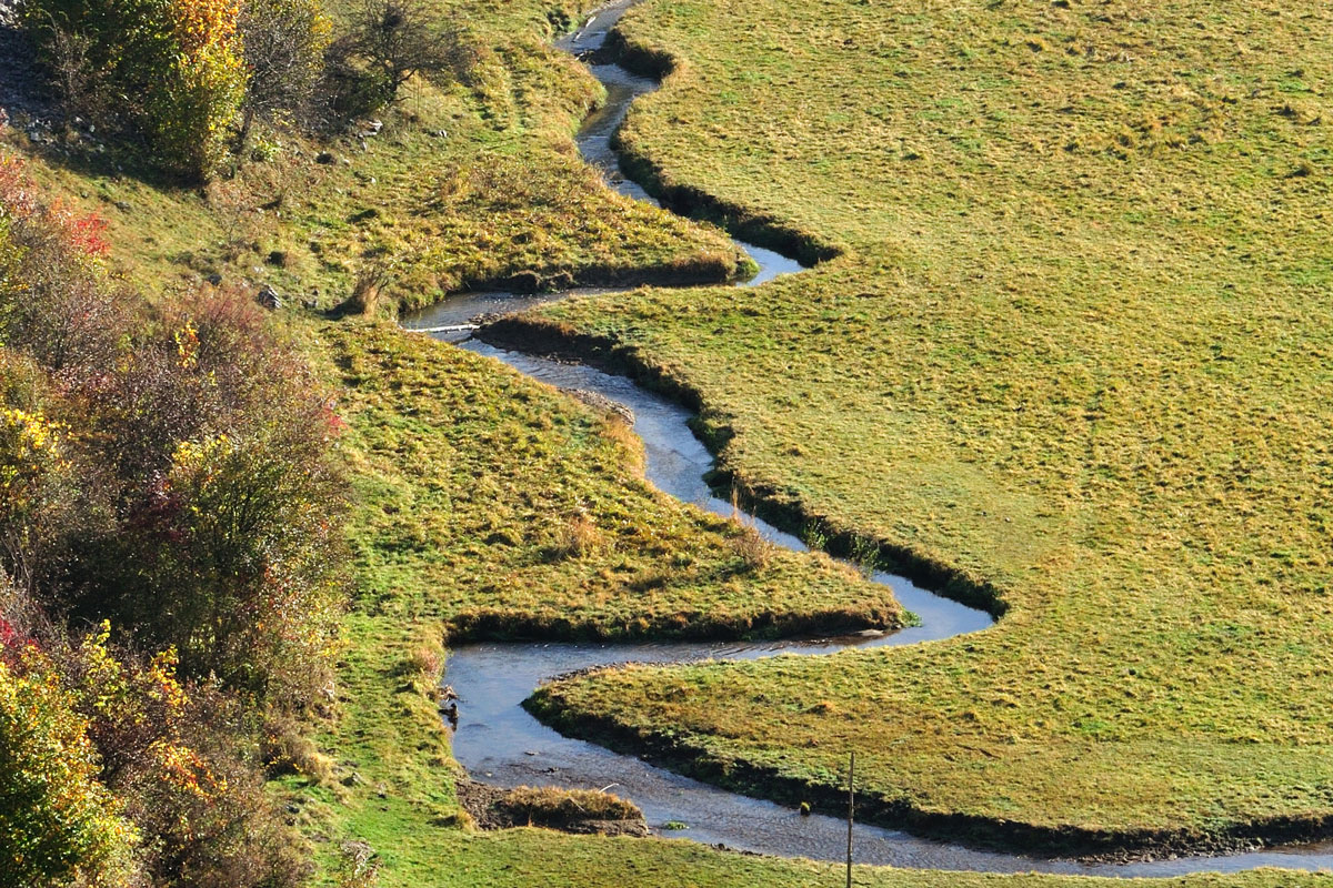 meandrująca rzeka