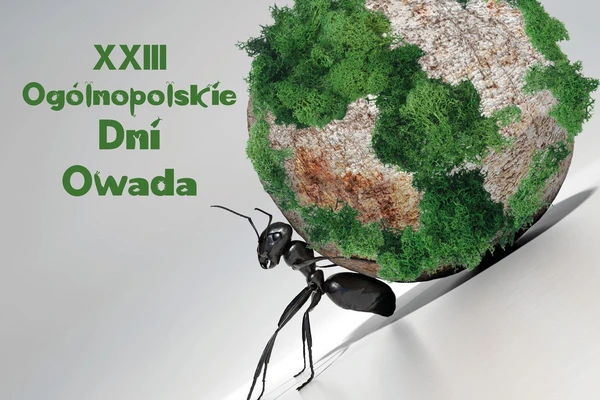 Zapraszamy na XXIII Ogólnopolskie Dni Owada