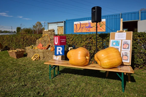 Festiwal Dyni na Uniwersytecie Rolniczym 2024 r.