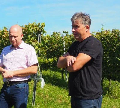 11. września 2021 r., Święto Winobrania