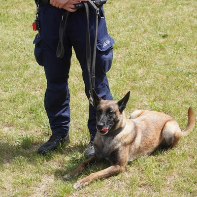 Dzień Psa 2025 - 25