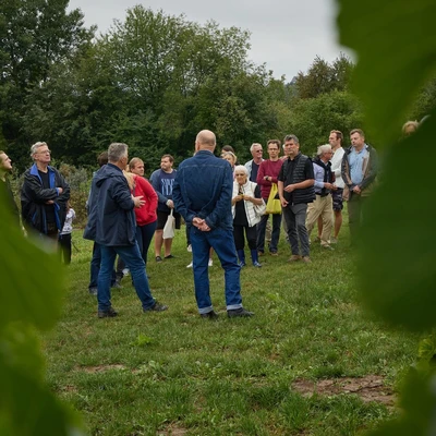 6 września 2025 r. Święto Winobrania