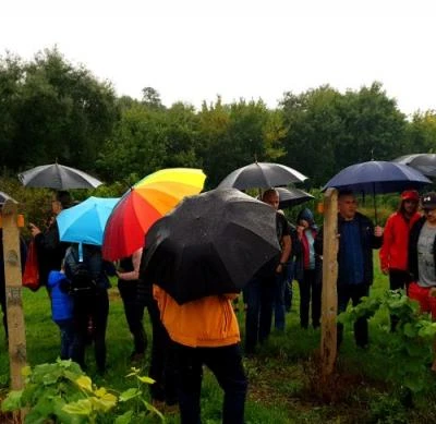 10 września 2022 r., Święto Winobrania URK
