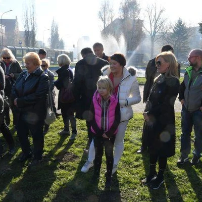 Dąb Na Stulecie Niepodległości