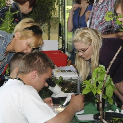 28-30 maja 2010 r., Dni Owada