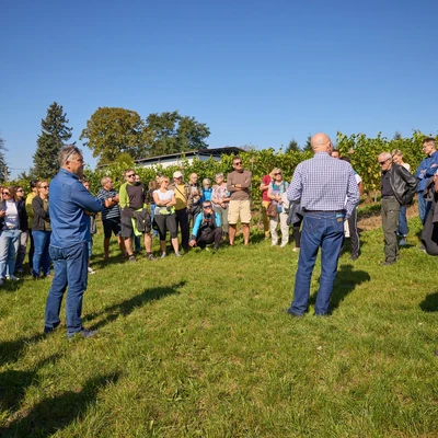 Święto Winobrania 2024