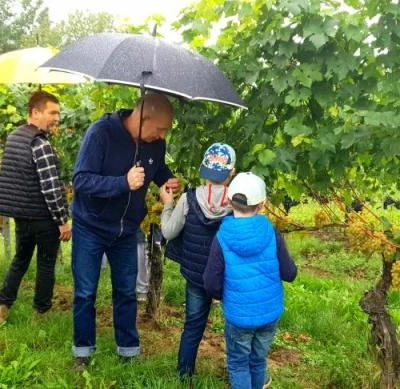 10 września 2022 r., Święto Winobrania URK
