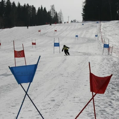 Mistrzostwa UR w narciarstwie alpejskim i snowboardzie