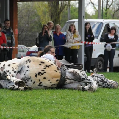 XII Małopolska Giełda Agroturystyczna