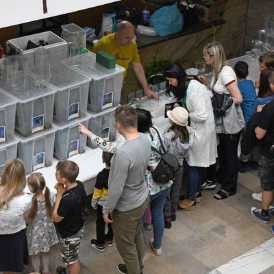 27 maja 2022 r., Dni Owada cz. 1.