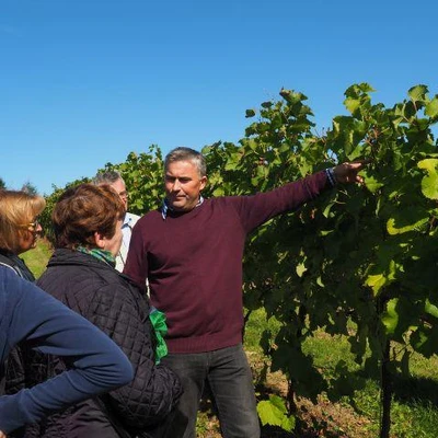 Święto Winobrania