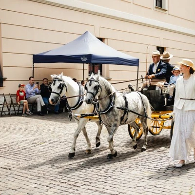 6-8 czerwca 2025 r. IV Międzynarodowy Konkurs Tradycyjnego Powożenia w Niepołomicach