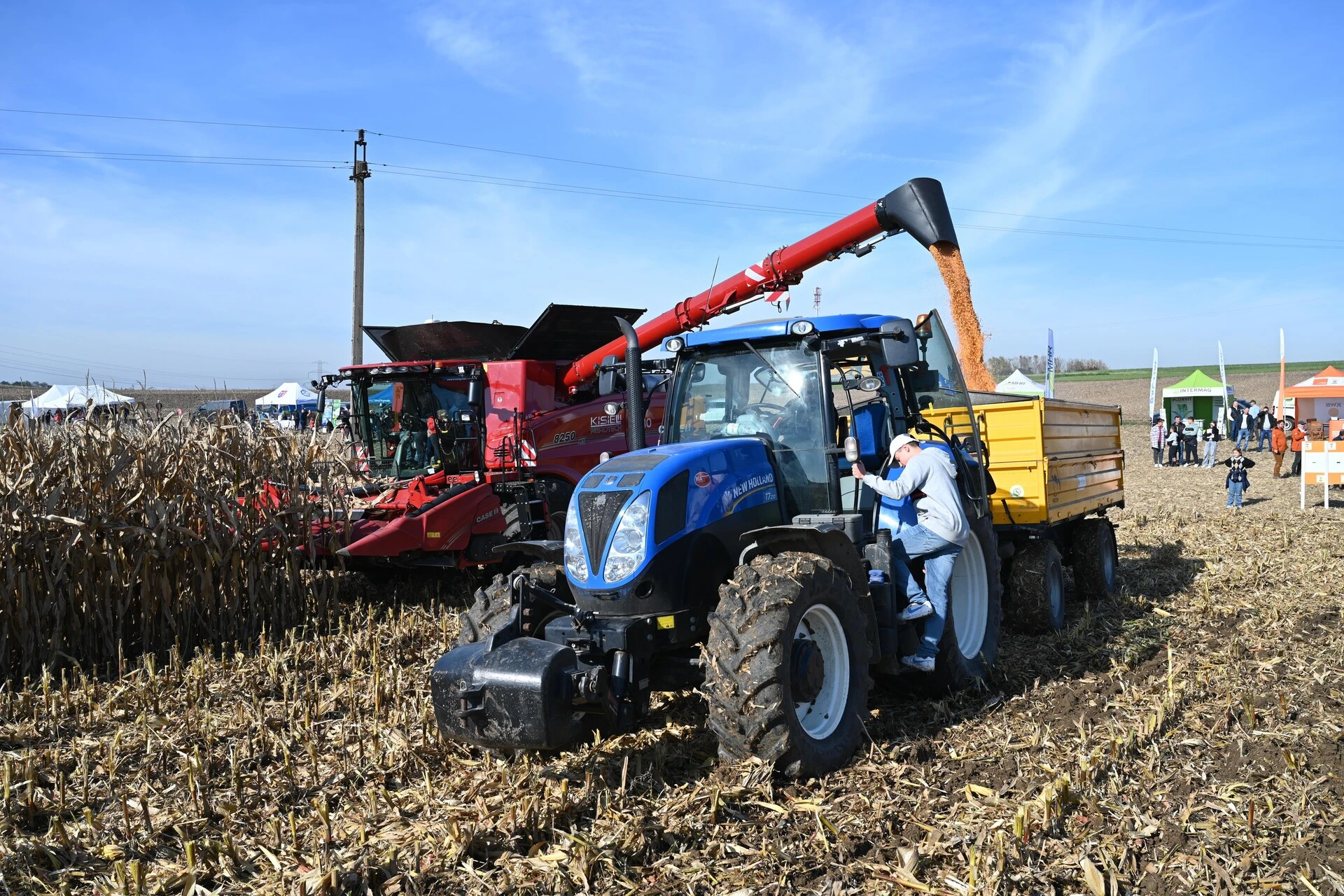 Agro-Krak 2024 w Rolniczym Gospodarstwie Doświadczalnym Uniwersytetu Rolniczego w Prusach (gmina Kocmyrzów-Luborzyca)