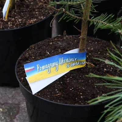2 kwietnia 2022 r., Pomagamy Ukrainie ze smakiem cz. 2