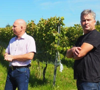 11. września 2021 r., Święto Winobrania