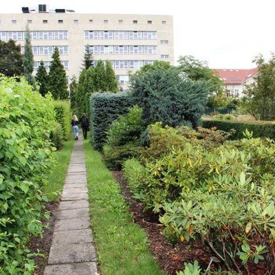 10 lat studiów podyplomowych Florystyka