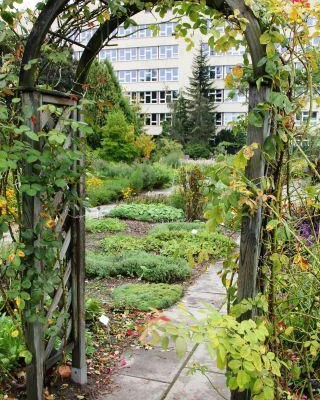 10 lat studiów podyplomowych Florystyka