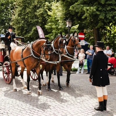 6-8 czerwca 2025 r. IV Międzynarodowy Konkurs Tradycyjnego Powożenia w Niepołomicach