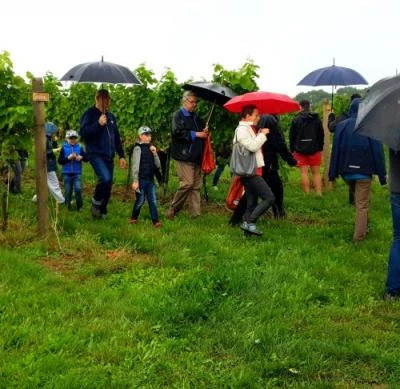 10 września 2022 r., Święto Winobrania URK
