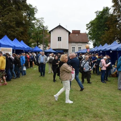 25 września 2021 r., VII Małopolskie Targi Żywności