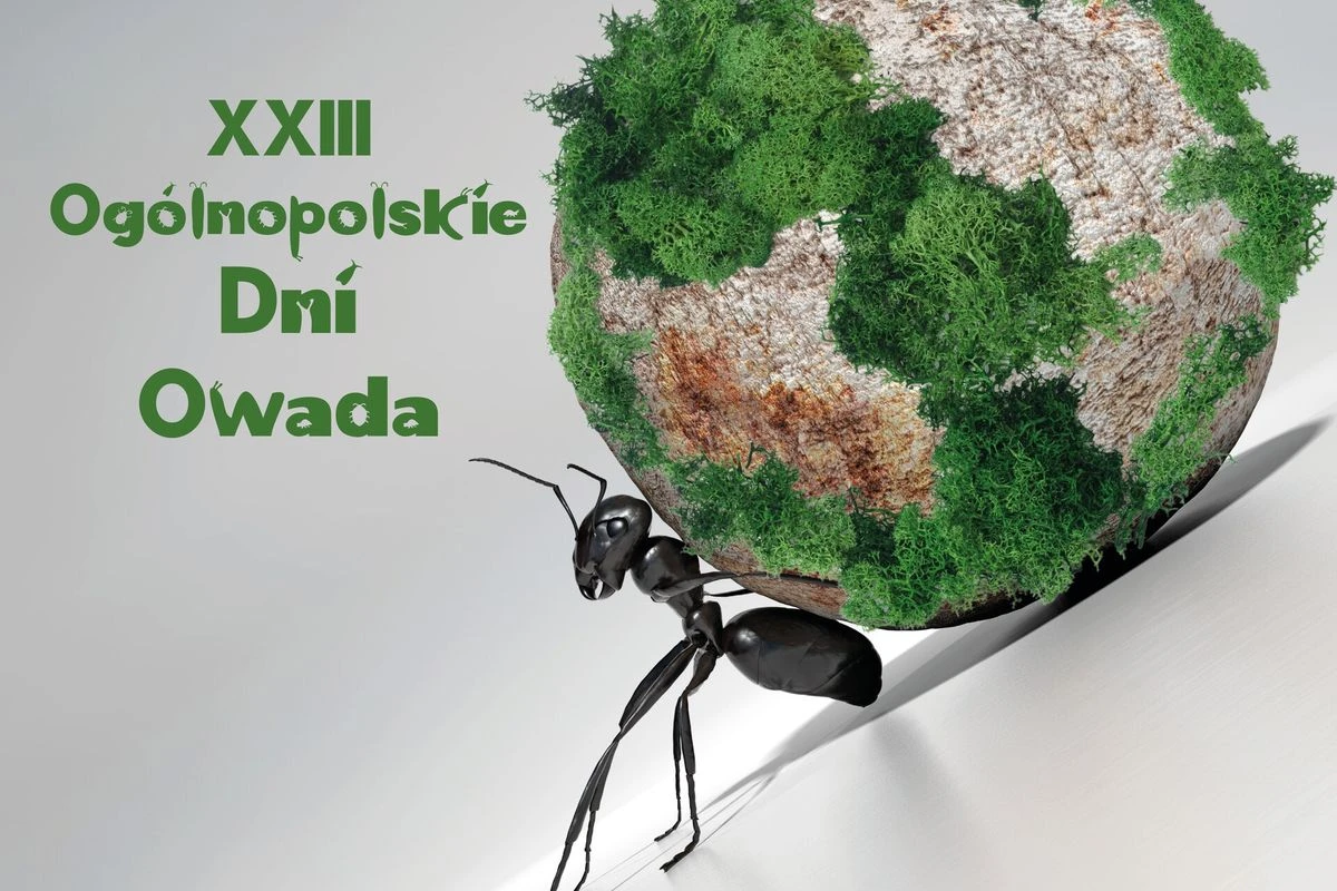 Już w ten weekend zapraszamy na XXIII Ogólnopolskie Dni Owada