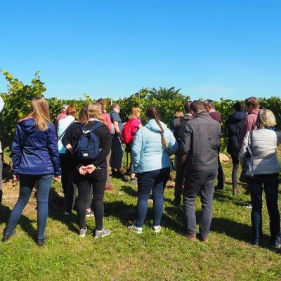 Święto Winobrania