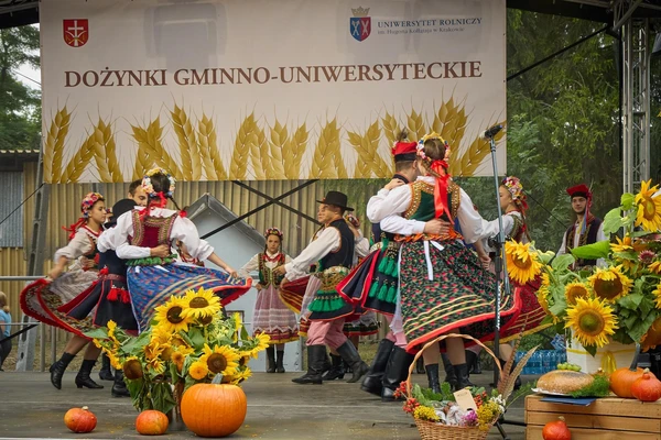 Dożynki Gminno-Uniwersyteckie 2025_8