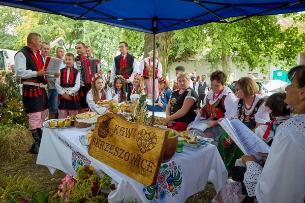 Dożynki Gminno-Uniwersyteckie 2025_9