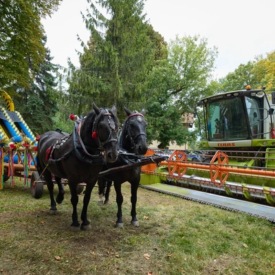Dożynki Gminno-Uniwersyteckie 2025_30