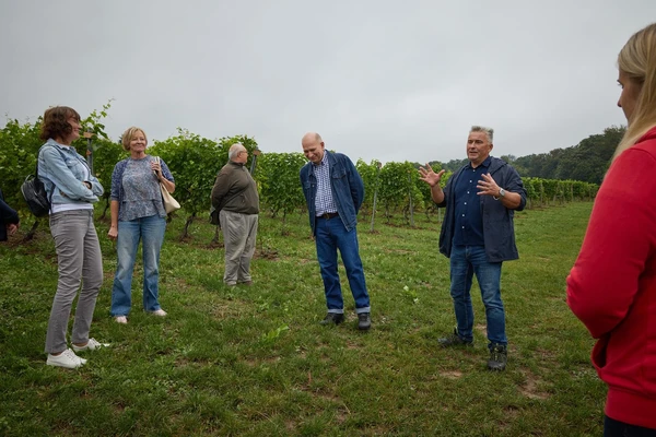 6 września 2025 r. Święto Winobrania