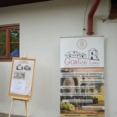 6 września 2025 r. Święto Winobrania