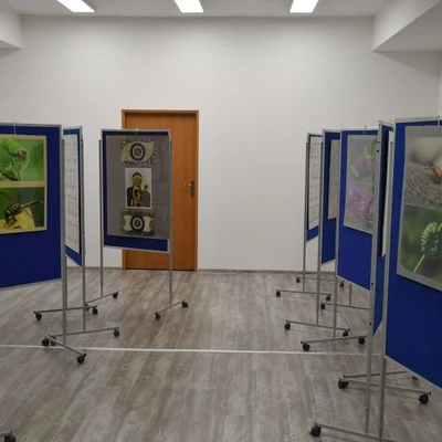 27 maja 2022 r., Dni Owada cz. 2.