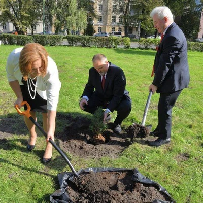 6 października 2020 r., Sadzenie limby pod Budynkiem Jubileuszowym