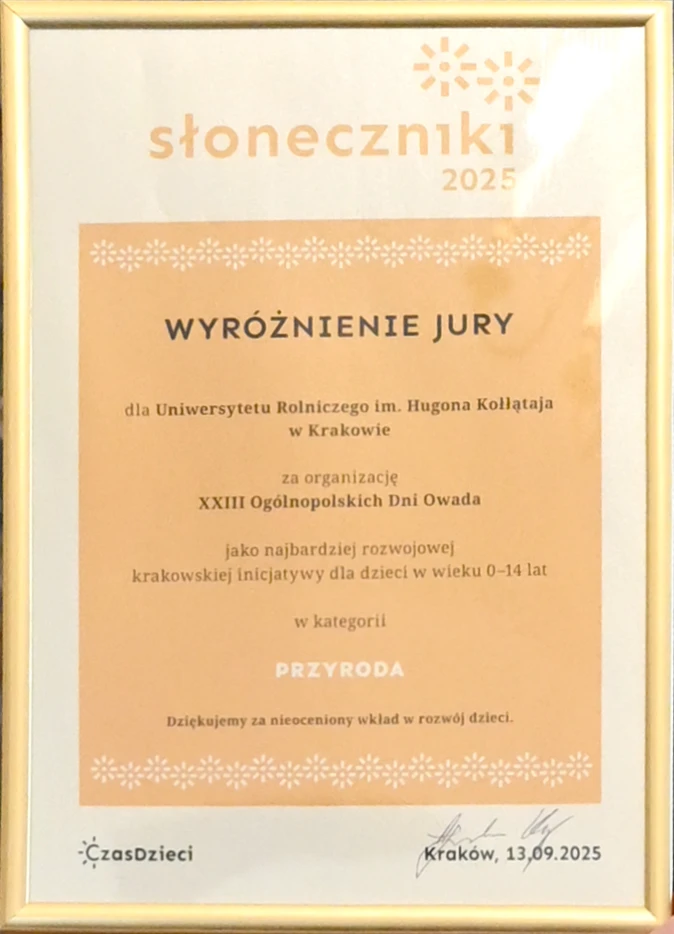 Dyplom - Wyróżnienia jury