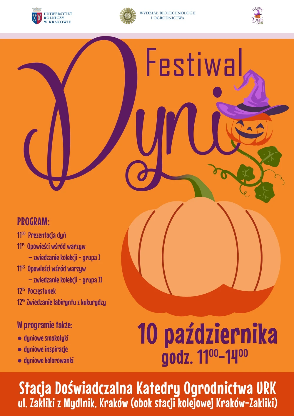 Festiwal Dyni 2025 plakat