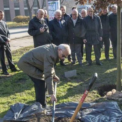 Dąb Na Stulecie Niepodległości