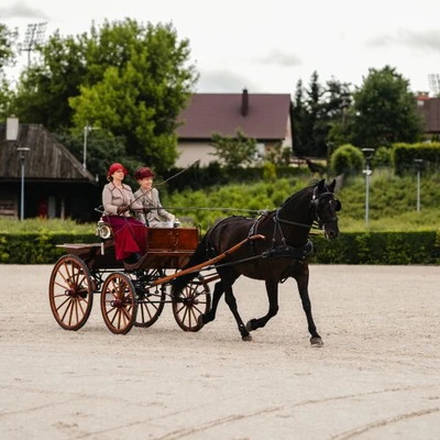 6-8 czerwca 2025 r. IV Międzynarodowy Konkurs Tradycyjnego Powożenia w Niepołomicach