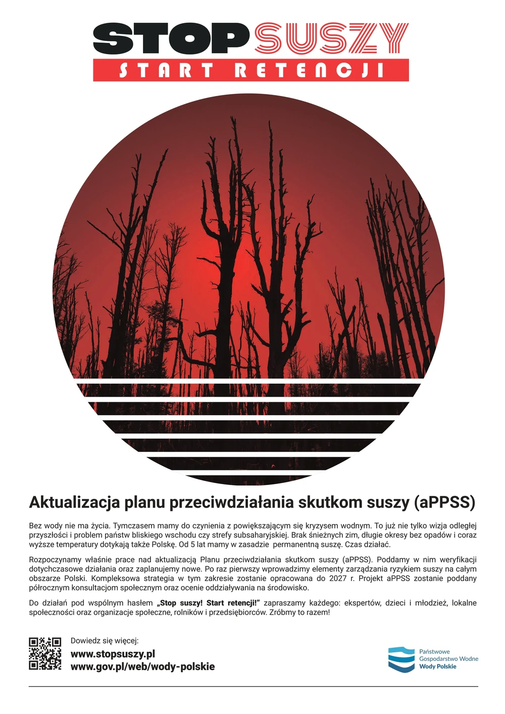 plakat - stop suszy
