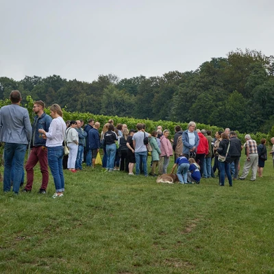 6 września 2025 r. Święto Winobrania