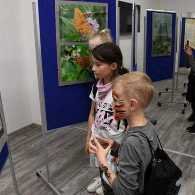 27 maja 2022 r., Dni Owada cz. 1.