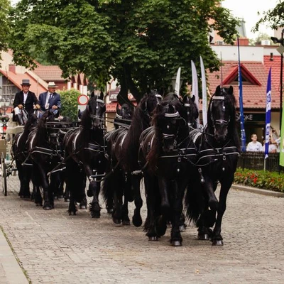 6-8 czerwca 2025 r. IV Międzynarodowy Konkurs Tradycyjnego Powożenia w Niepołomicach