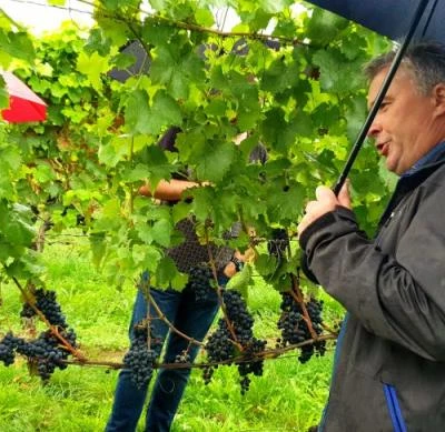 10 września 2022 r., Święto Winobrania URK