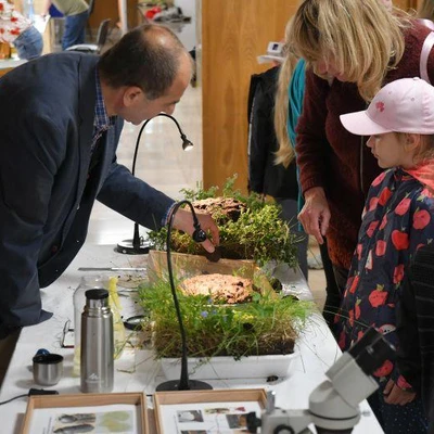 27 maja 2022 r., Dni Owada cz. 2.