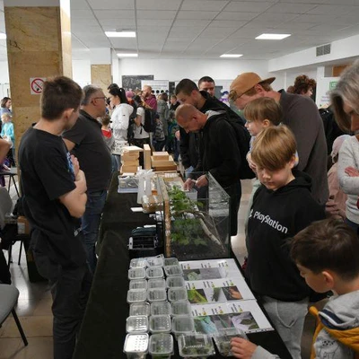 27 maja 2022 r., Dni Owada cz. 2.